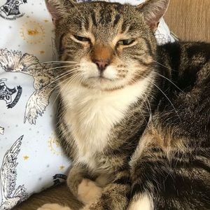 Meet your Posher, Alix